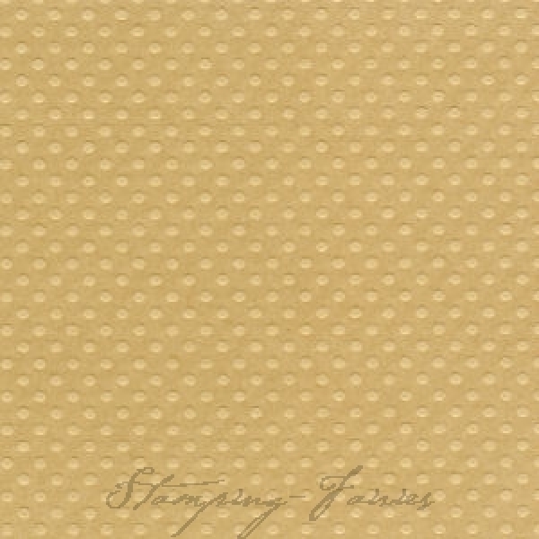 Bazzill Dotted Cardstock "Rope Swing"